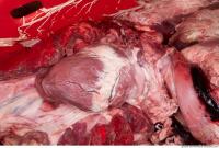 RAW meat pork viscera 0052